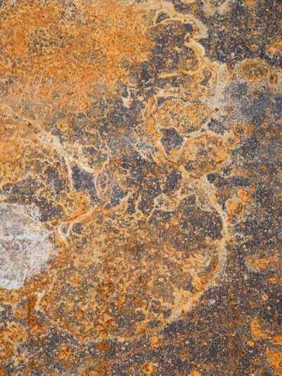 250531-beemster-8206