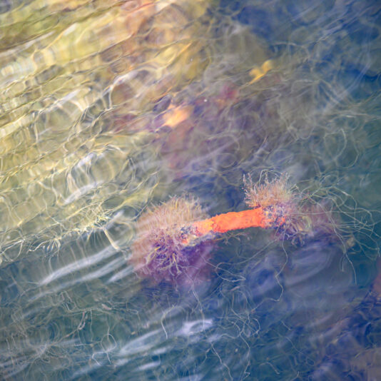 250607-Brouwersdam-8653