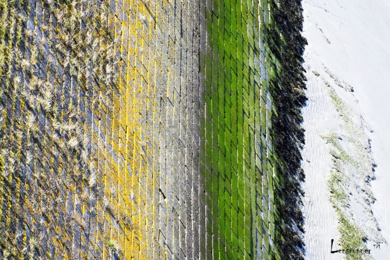 480893730_17857378182376513_5482293428421027047_n