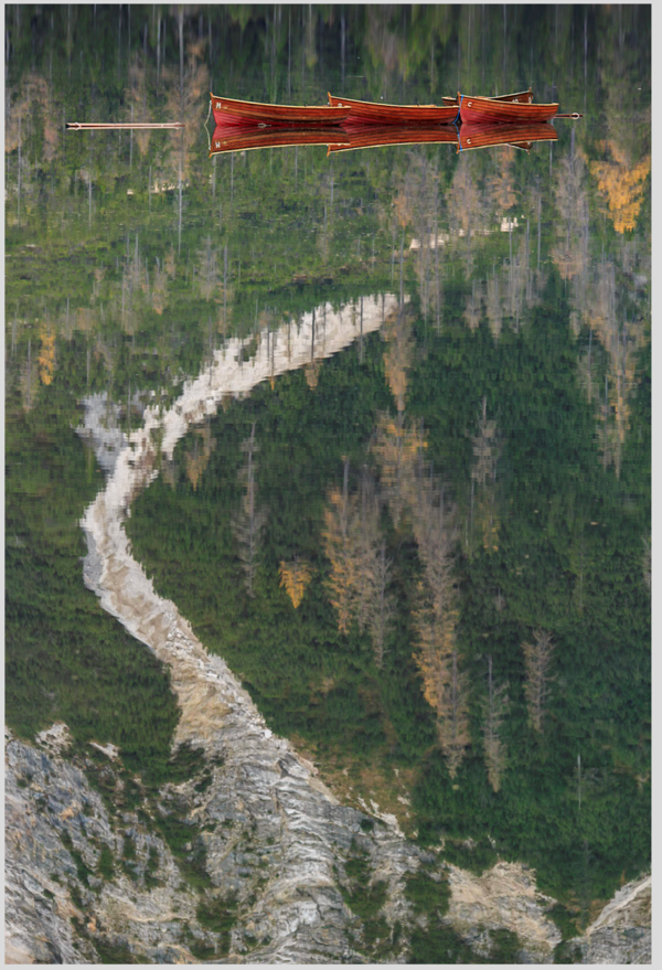 landschap landschap