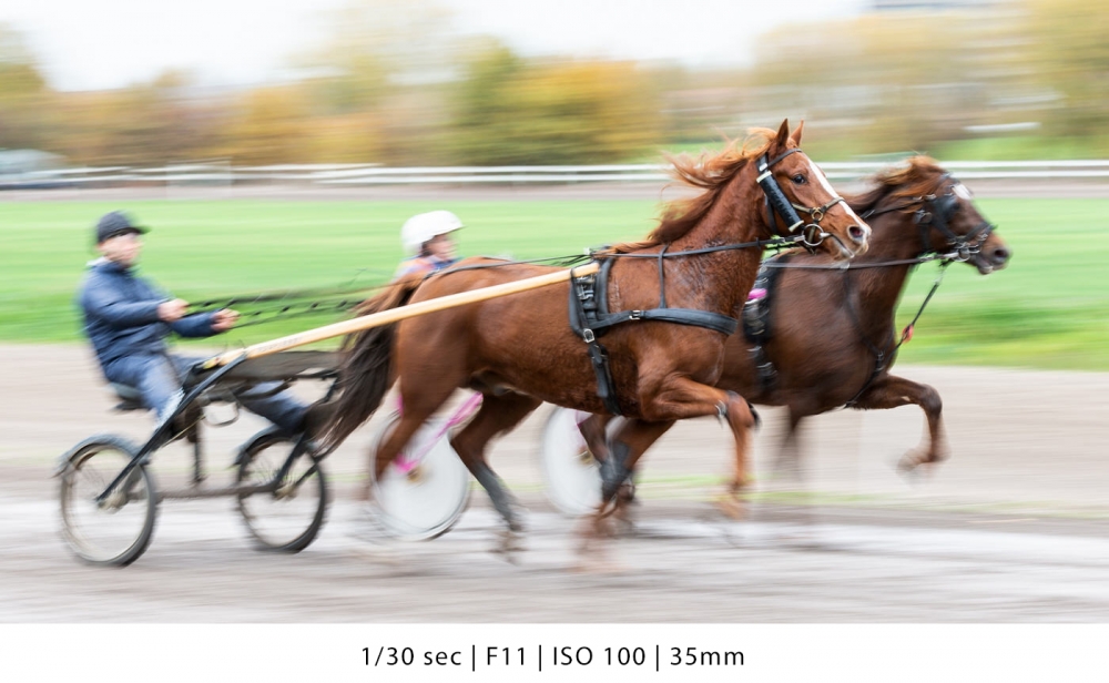 paardensport-huub-keulers