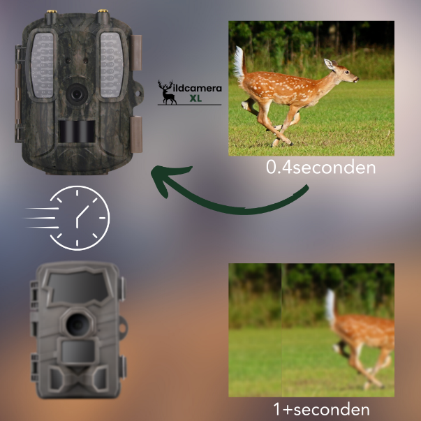 wildcamera-trigger-snelheid