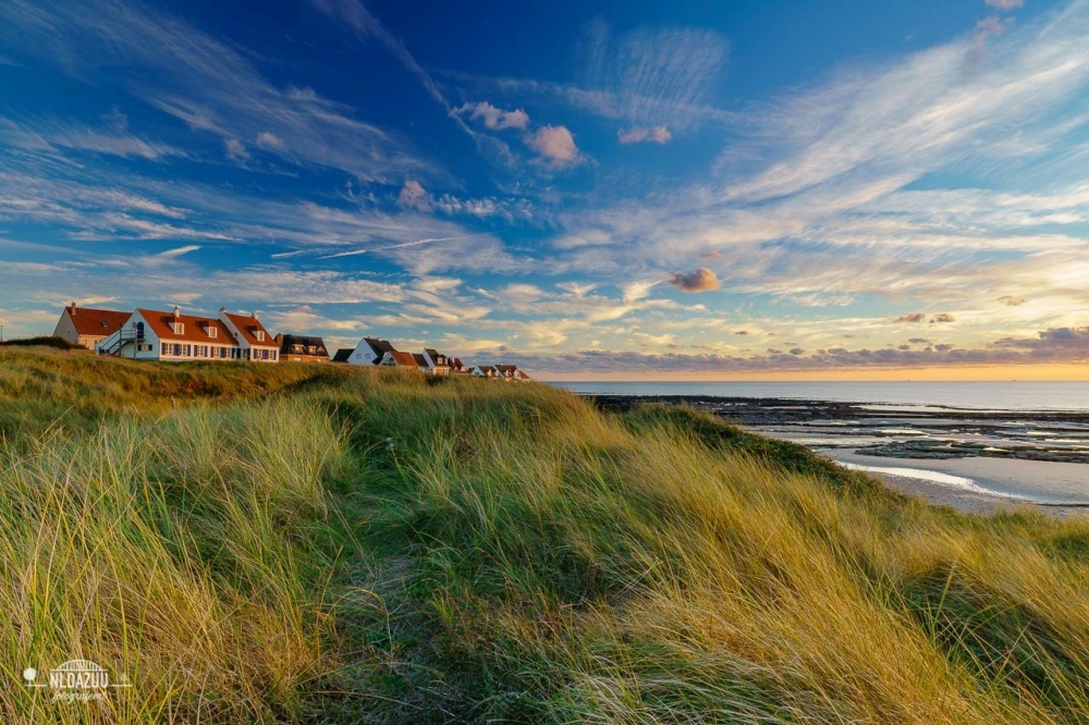 landschap landschap
