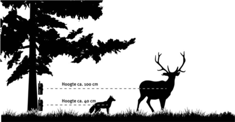 positionering-wildcamera positionering-wildcamera