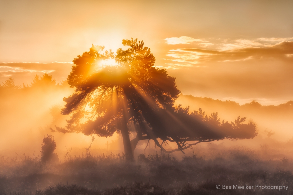 Bas Meelker Landschapsfotografie