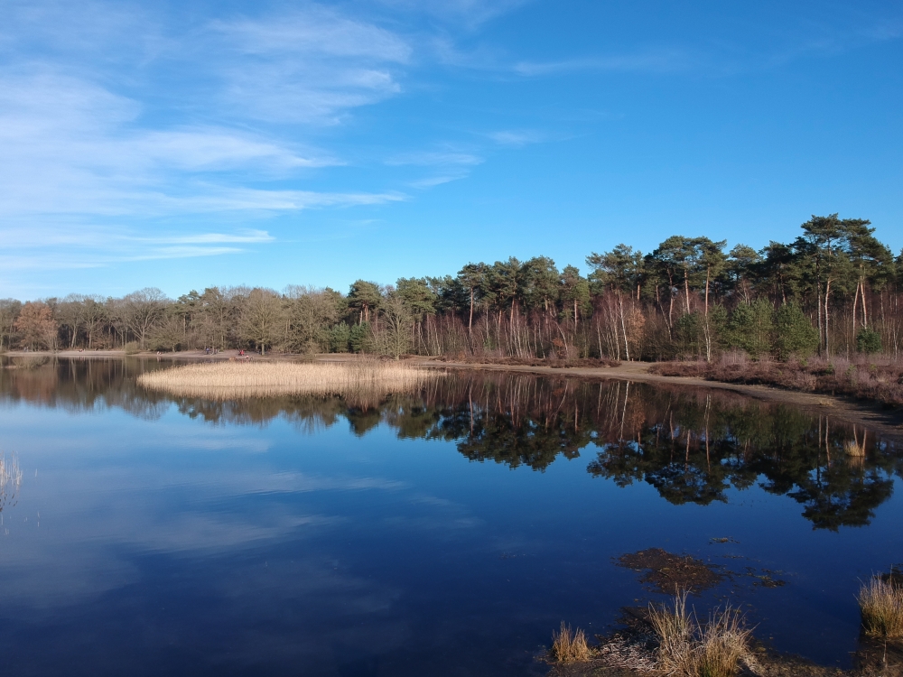 landschap landschap