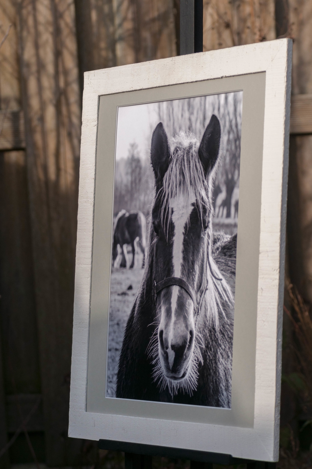 Foto’s inlijsten Foto’s inlijsten