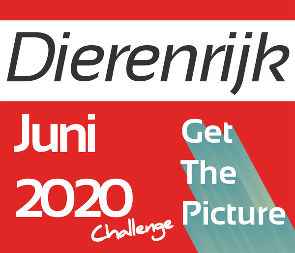 DIERENRIJK - Foto-uitdaging JUNI 2020 - Get The Picture Challenge