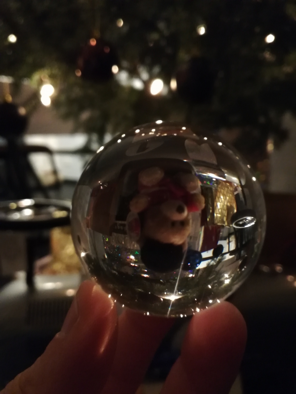 beer-lensball