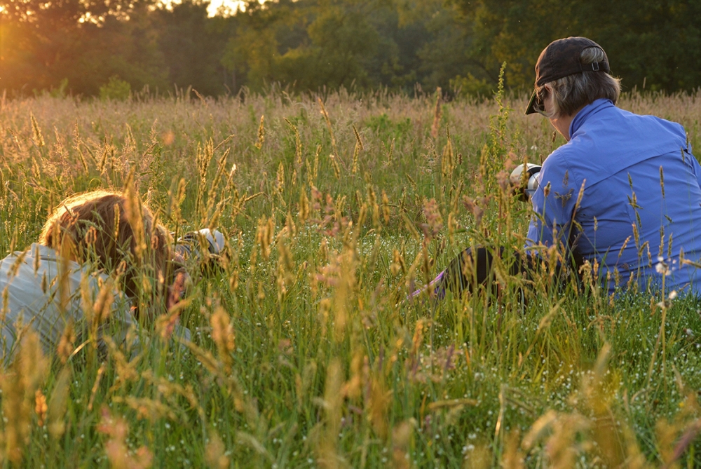 Natuur Fotografen