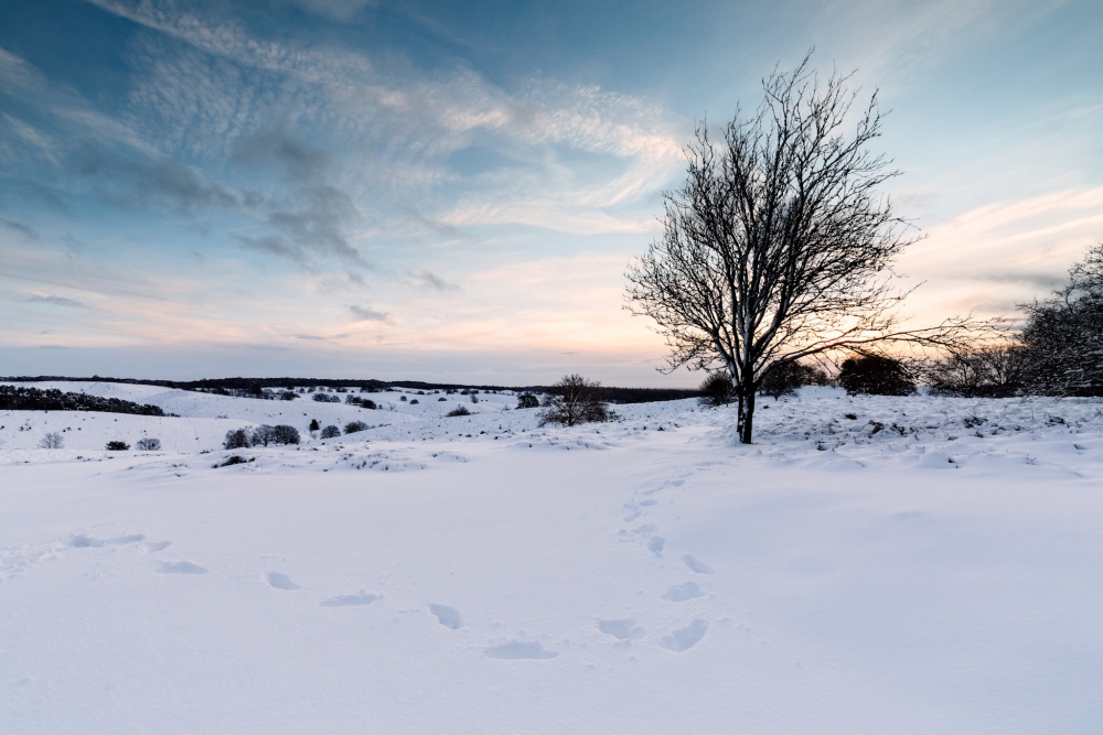 Ochtendlicht over de sneeuw, een magische kleurcombinatie