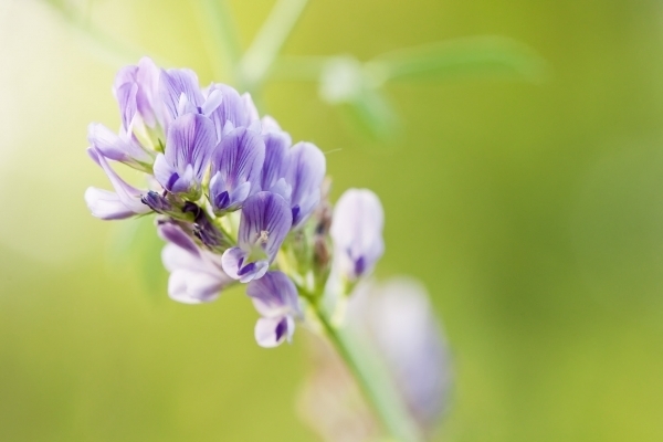 PHOTOGRAPHY-Course-Eindhoven-English