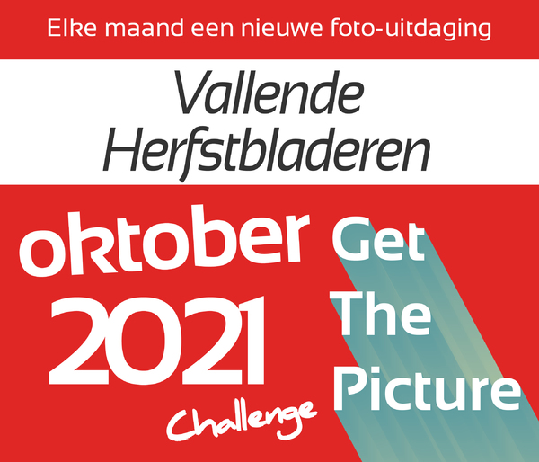 Herfst 2021 Herfst 2021