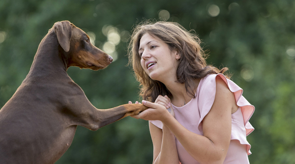 Honden Fotograferen