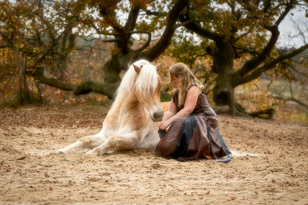 paard-lichend-portret 