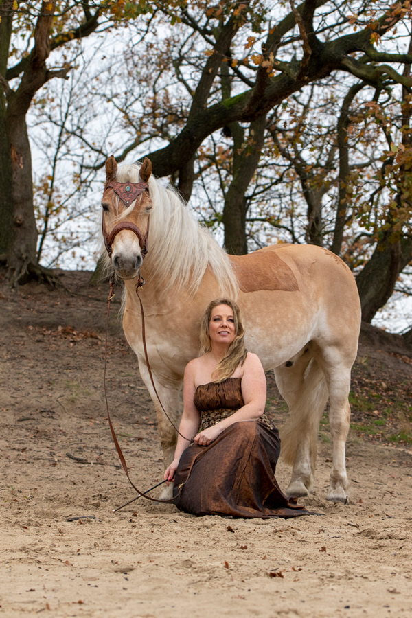 paard-met-mooi-tuig paard-met-mooi-tuig