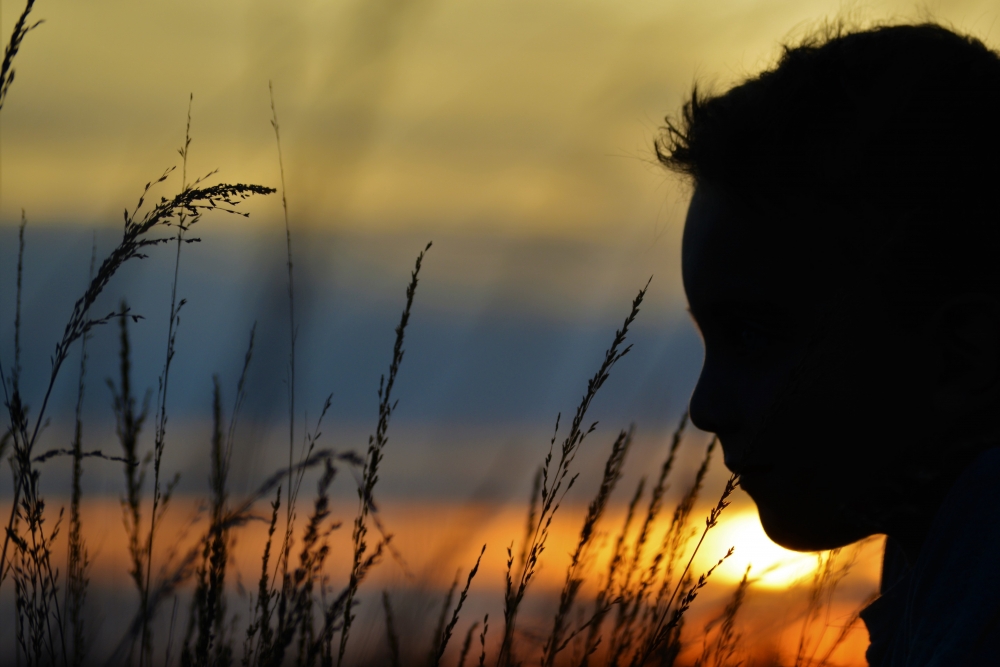 Silhouetfoto Silhouetfoto