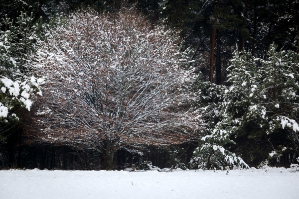 Fotograferen in de sneeuw Fotograferen in de sneeuw