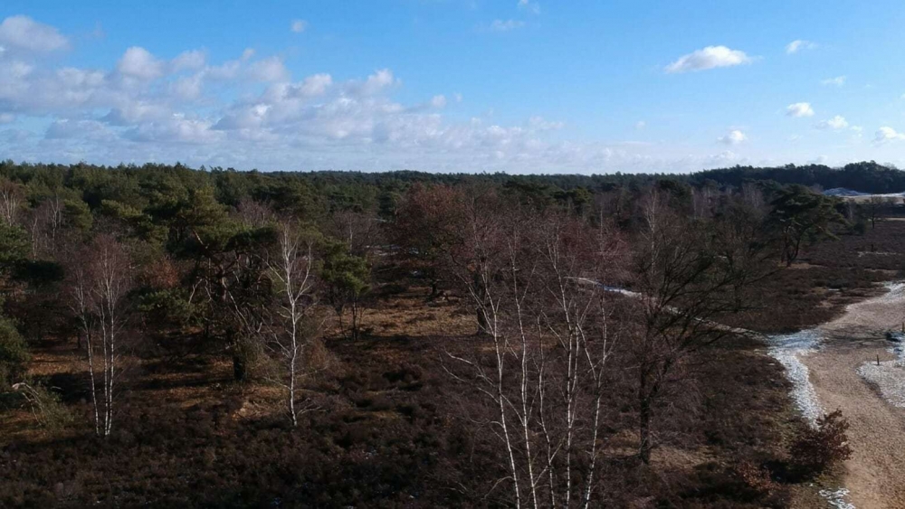 veluwe veluwe