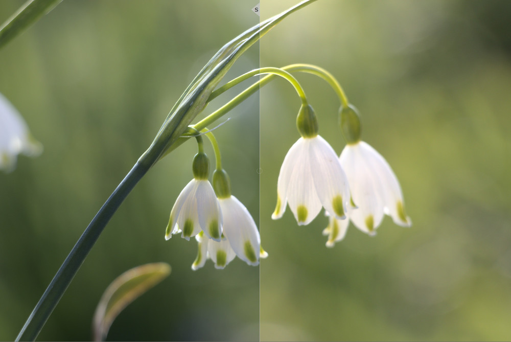 Het aanpassen van de belichting en de kleurtemperatuur geeft een heel andere sfeer aan je fotov Het aanpassen van de belichting en de kleurtemperatuur geeft een heel andere sfeer aan je fotov
