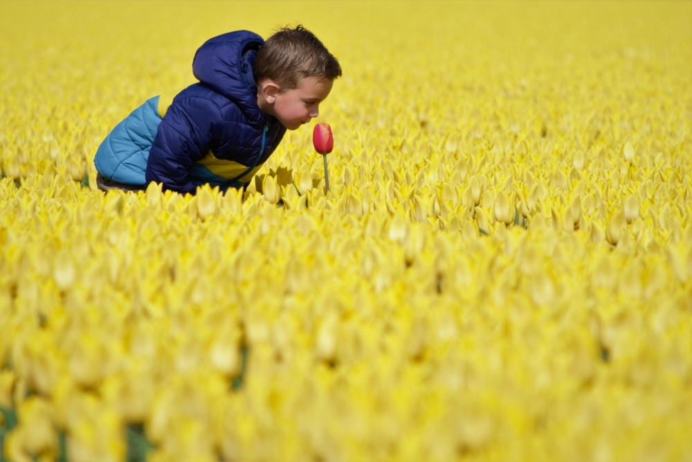 Bloemen-en-kinderen-fotograferen