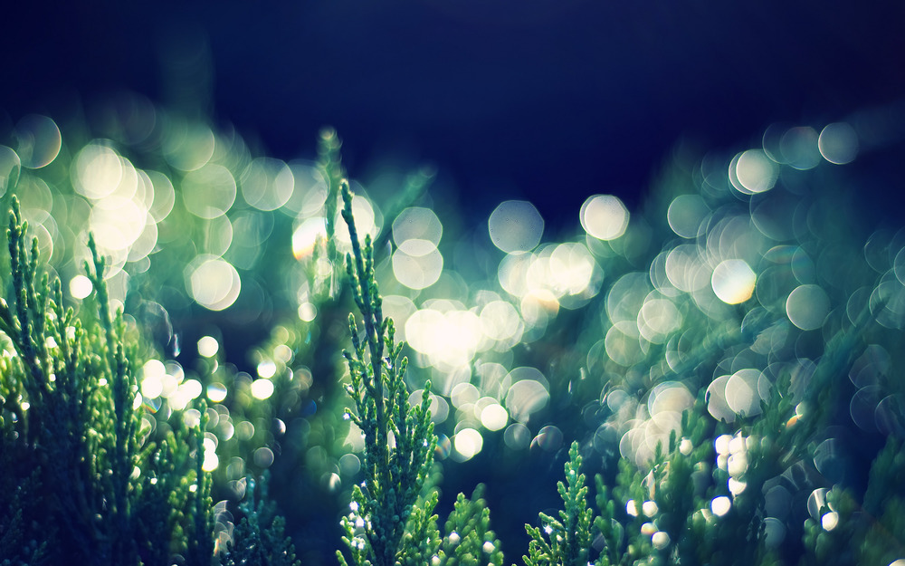 Bokeh-Groen