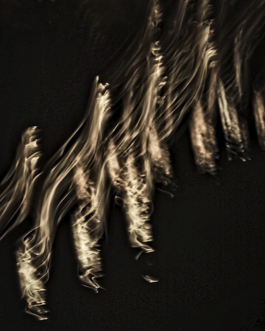 Fotografie: Boudewijn van Liempd Fotografie: Boudewijn van Liempd