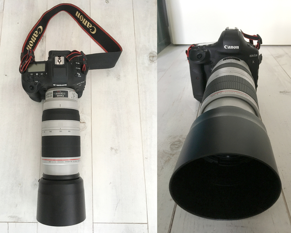 Canon EOS-1D X Mark III Canon 100-400mm f2.8 objectief