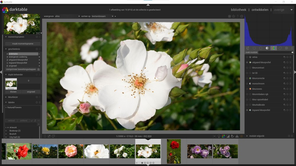 Darktable - Ontwikkelweergave Darktable - Ontwikkelweergave