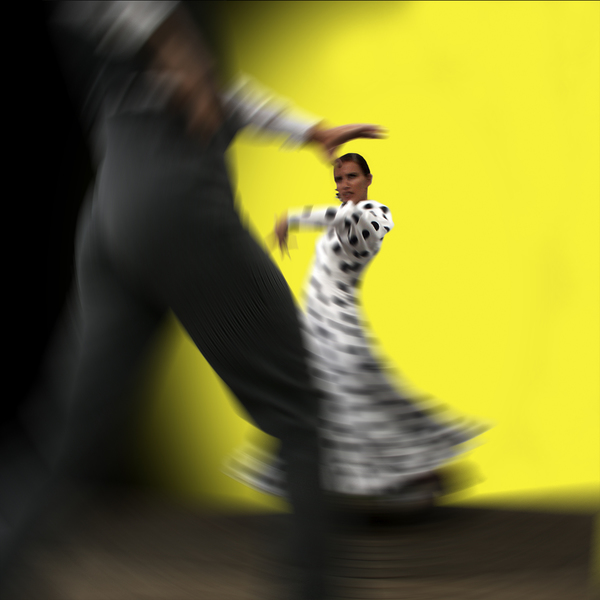 Flamenco Flamenco