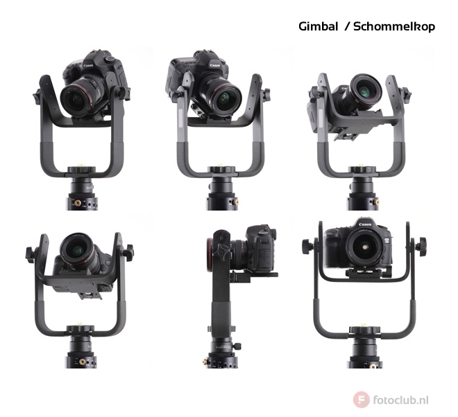 gimbal