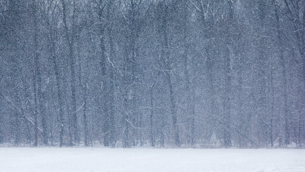 Fotograferen in de Sneeuw tips Fotograferen in de Sneeuw tips