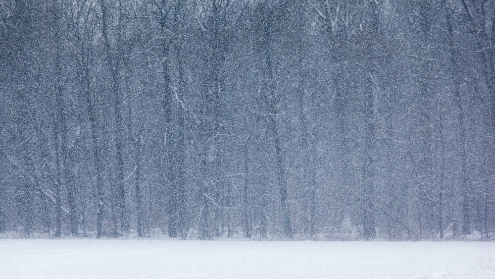 Fotograferen in de Sneeuw tips