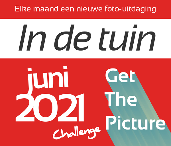 In de tuin In de tuin