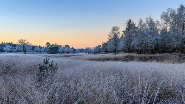 Koude zonsopkomst Koude zonsopkomst