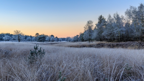 Koude zonsopkomst