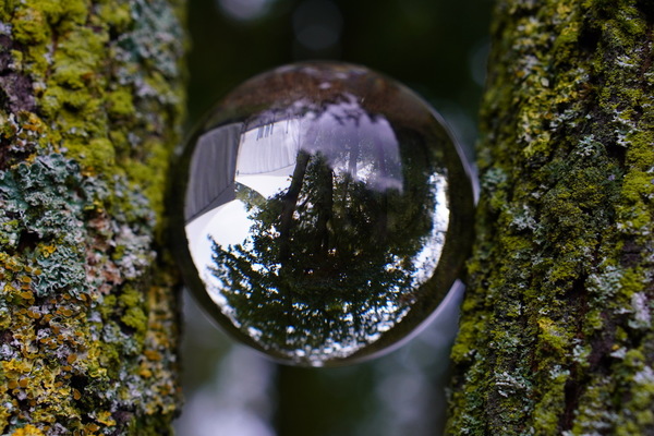 Lensball Fotografie Lensball Fotografie