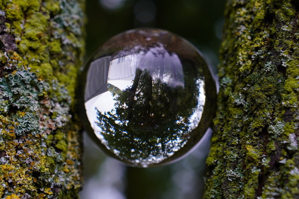 Lensball Fotografie