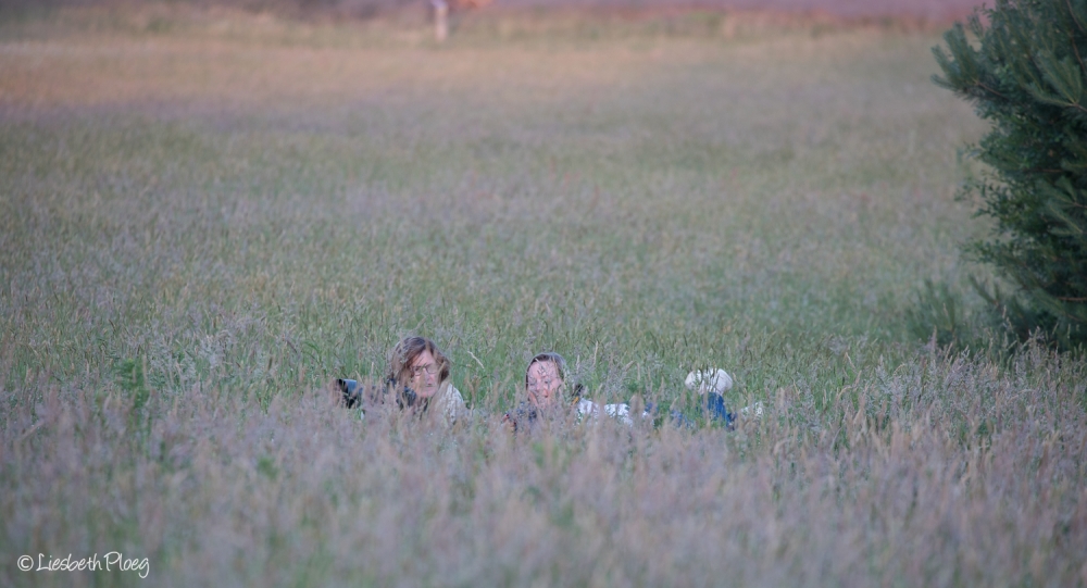 Natuurfotografie Liesbeth Ploeg