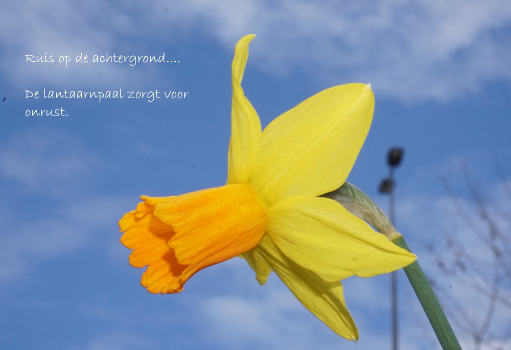 ruis op achtergrond ruis op achtergrond