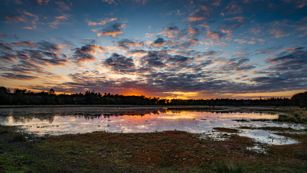 Sjak Vrieswijk