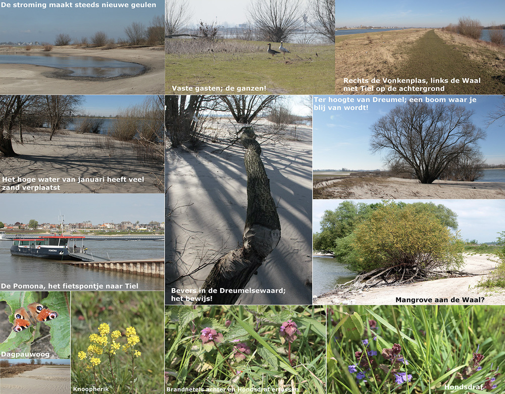 Foto's van wandel/natuurgids Ton Lammers