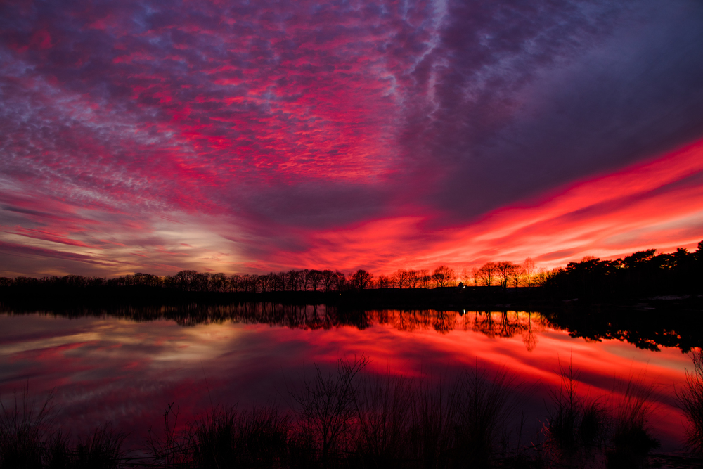 Zonsondergang Nederheide