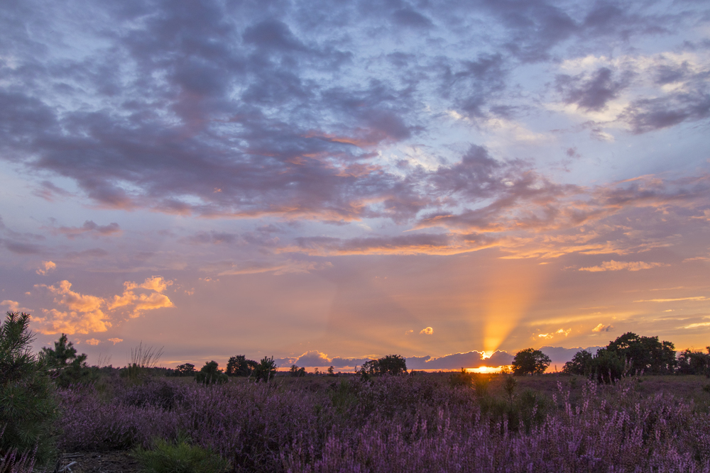 Zonsondergang Strabrechtseheide