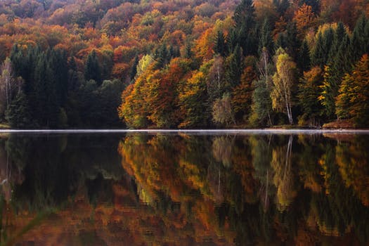 herfstfotografie aan de waterkant (pexels)