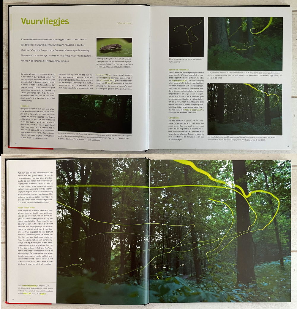 Het fotograferen van de baan van  vuurvliegjes in Zuid Limburg / Het Rijk van Nijmegen middels een samengestelde foto
