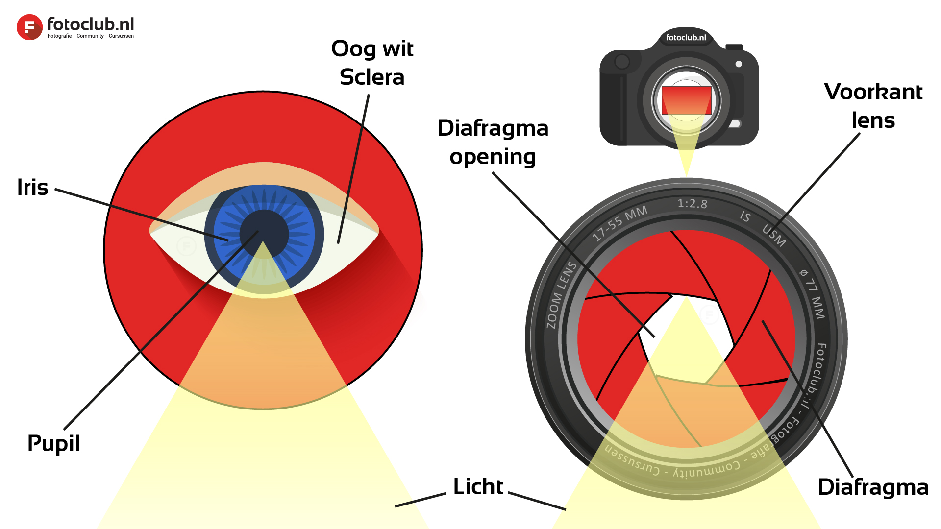 Diafragma-Oog-Fotografie-Uitleg