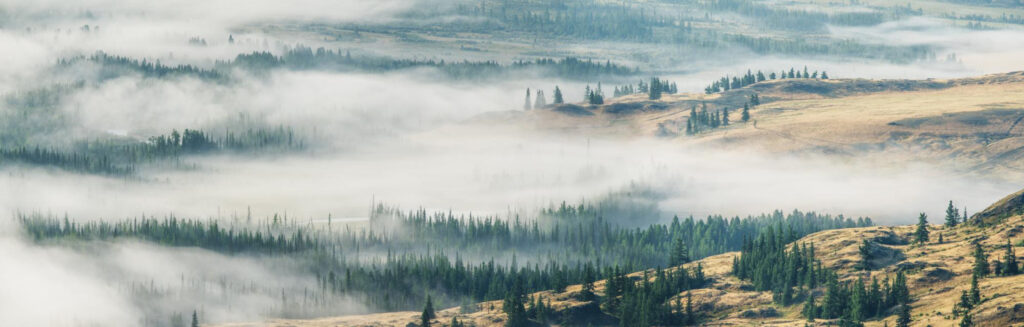 Compositie in landschapsfotografie - FotoclubNL