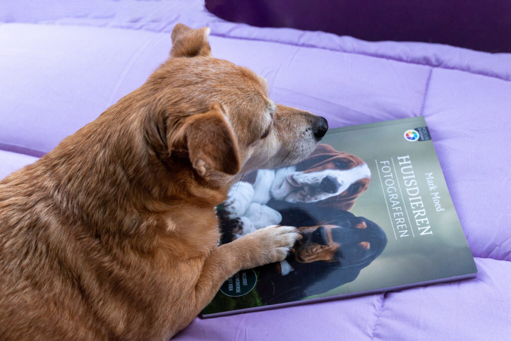 Boek-Huisdieren-Fotograferen