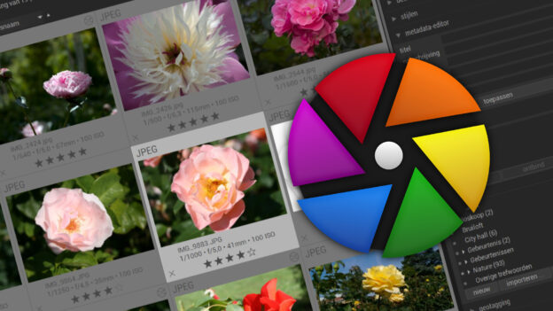 Darktable-Online-Cursus